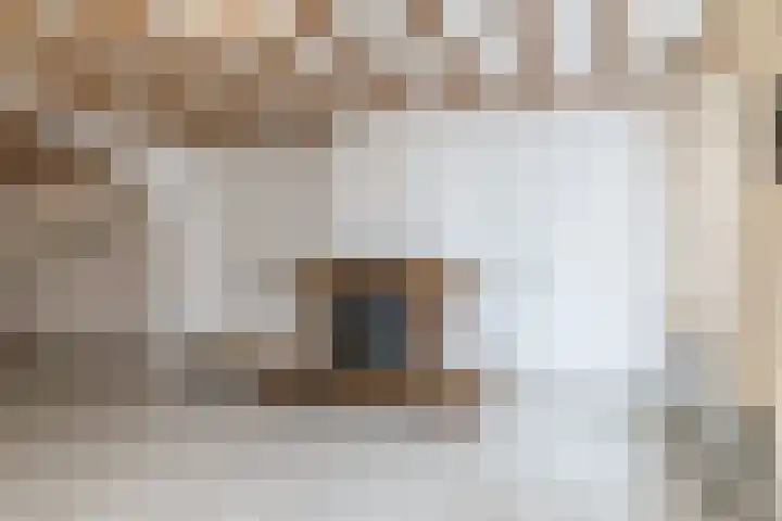 Servatiusstraat 15 Nuth thumbnail 8