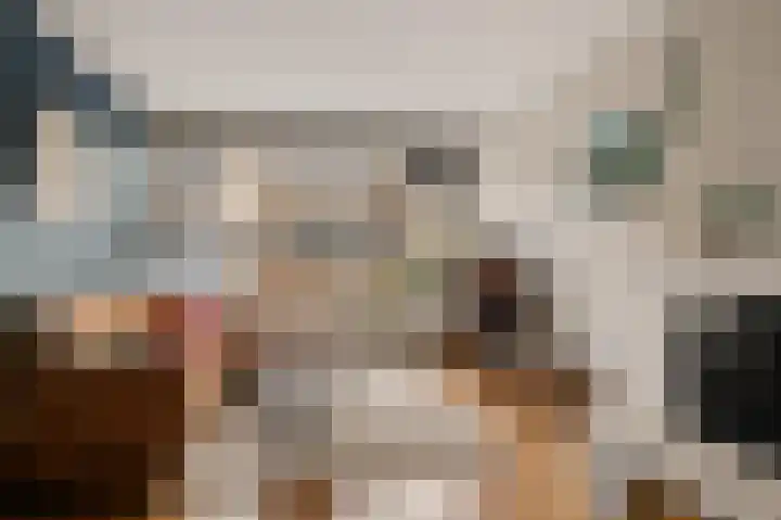 Servatiusstraat 15 Zoeterwoude thumbnail 10