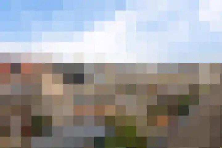 Servatiusstraat 15 Zoeterwoude thumbnail 31