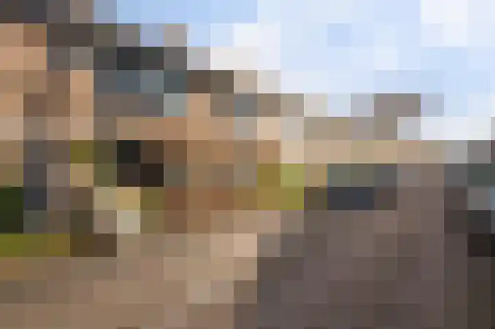 Servatiusstraat 15 Zoeterwoude thumbnail 4