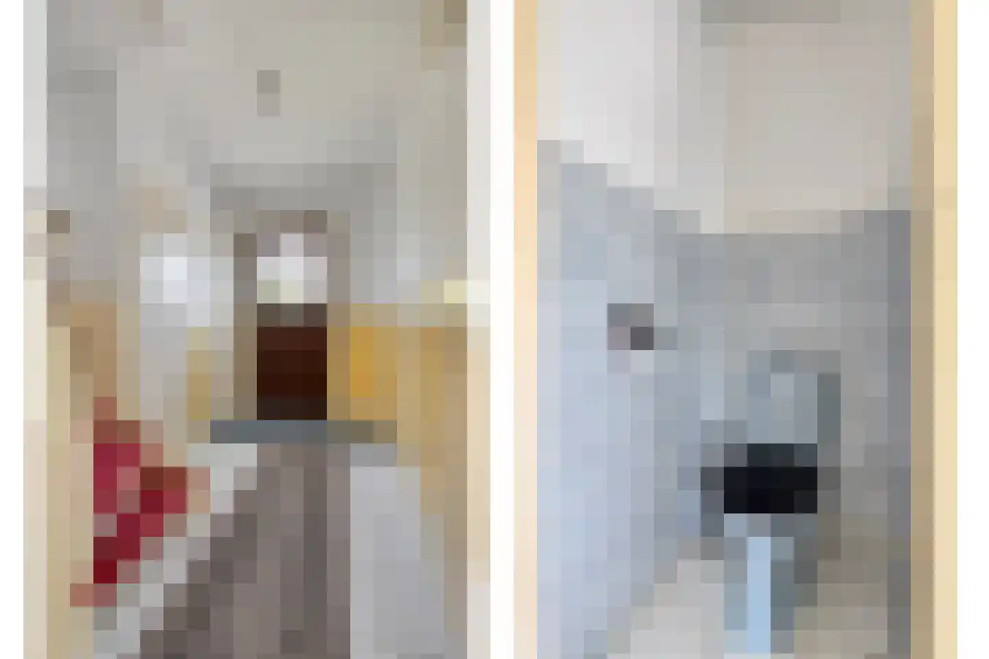 Servatiusstraat 19 Zoeterwoude thumbnail 12