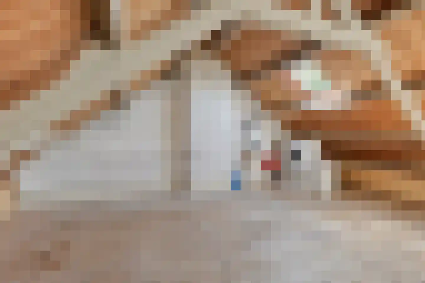 Servatiusstraat 19 Zoeterwoude thumbnail 21