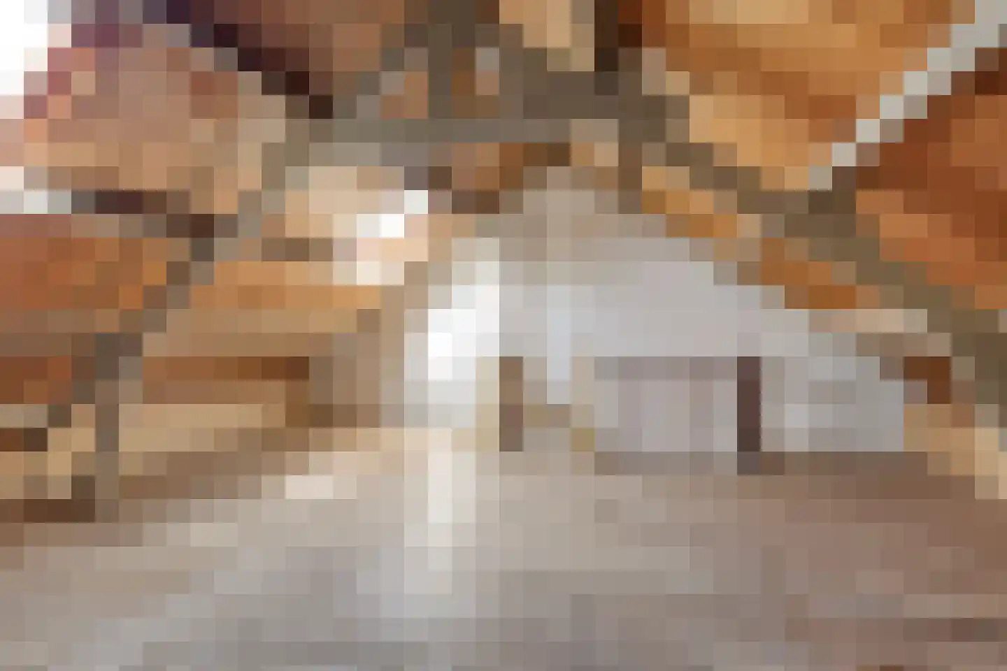 Servatiusstraat 19 Zoeterwoude thumbnail 22