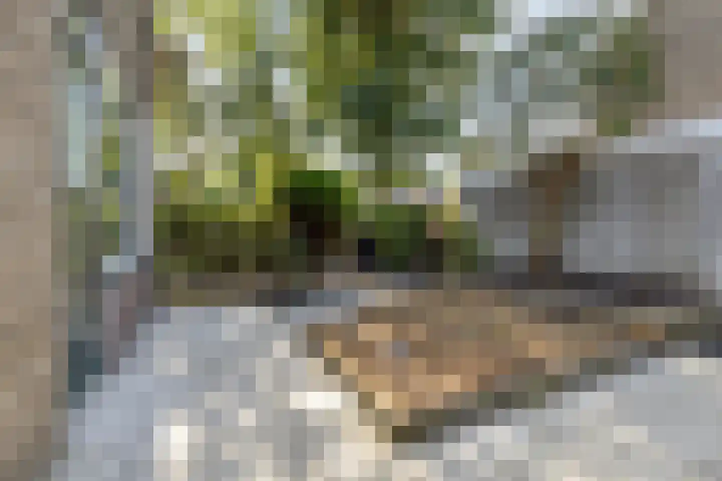 Servatiusstraat 19 Zoeterwoude thumbnail 23