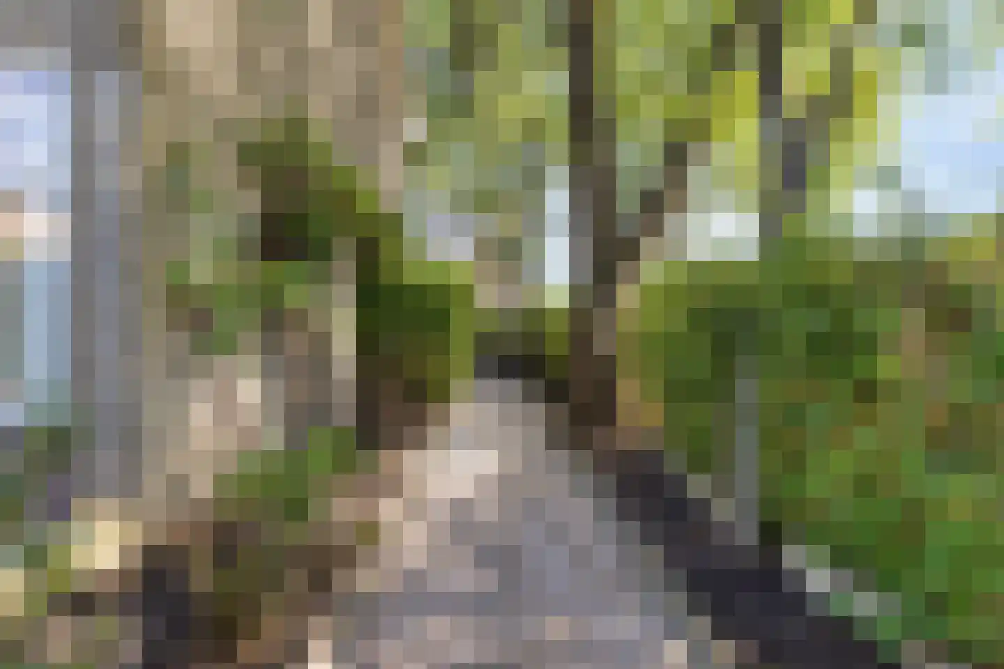 Servatiusstraat 19 Zoeterwoude thumbnail 25