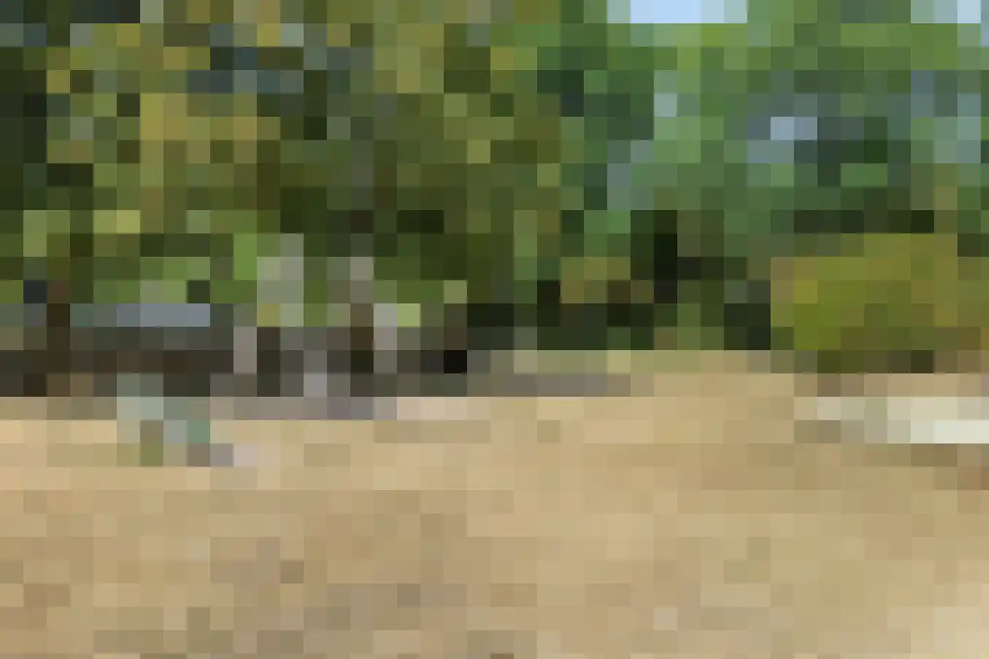 Servatiusstraat 19 Zoeterwoude thumbnail 33