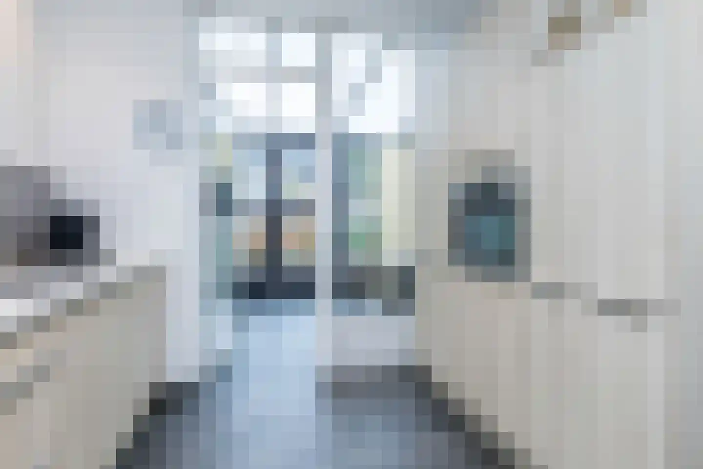 Servatiusstraat 33 Brunssum thumbnail 13