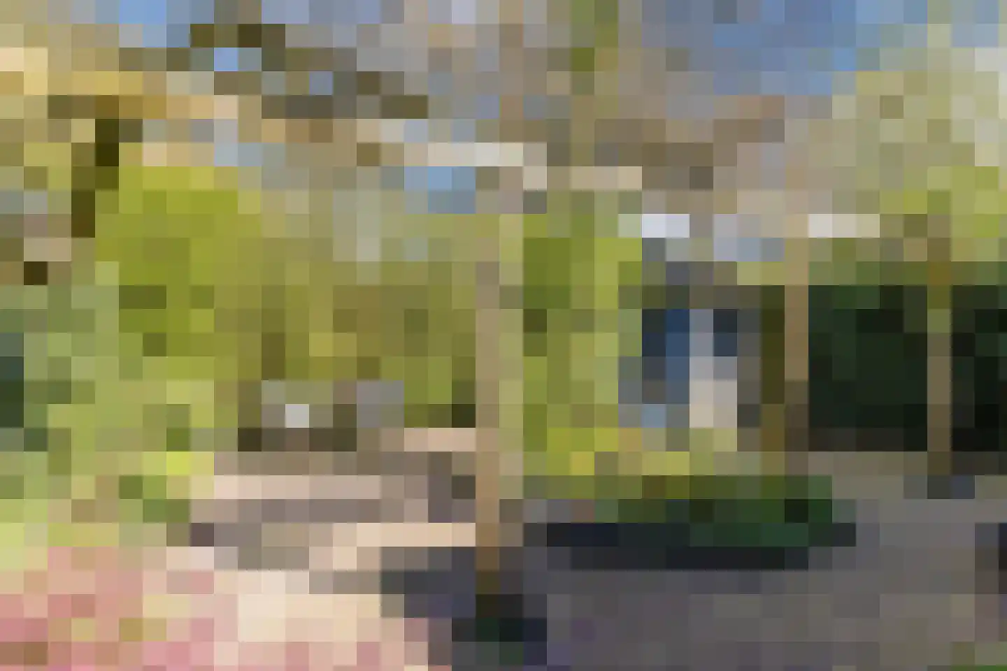 Servatiusstraat 5 Vught thumbnail 16