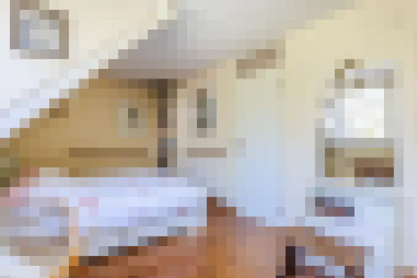 Servatiusstraat 5 Vught thumbnail 8