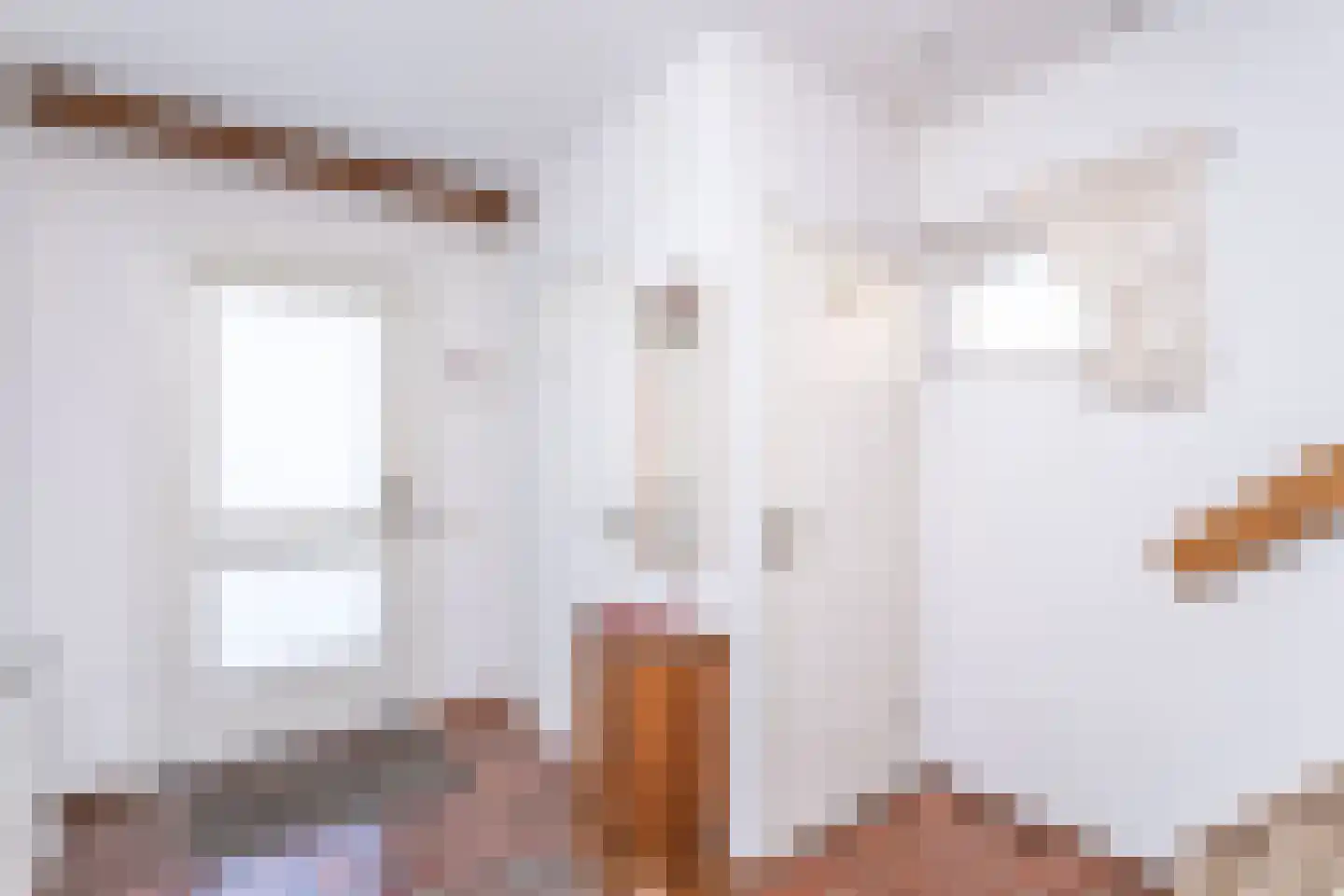Servatiusstraat 82 Brunssum thumbnail 4