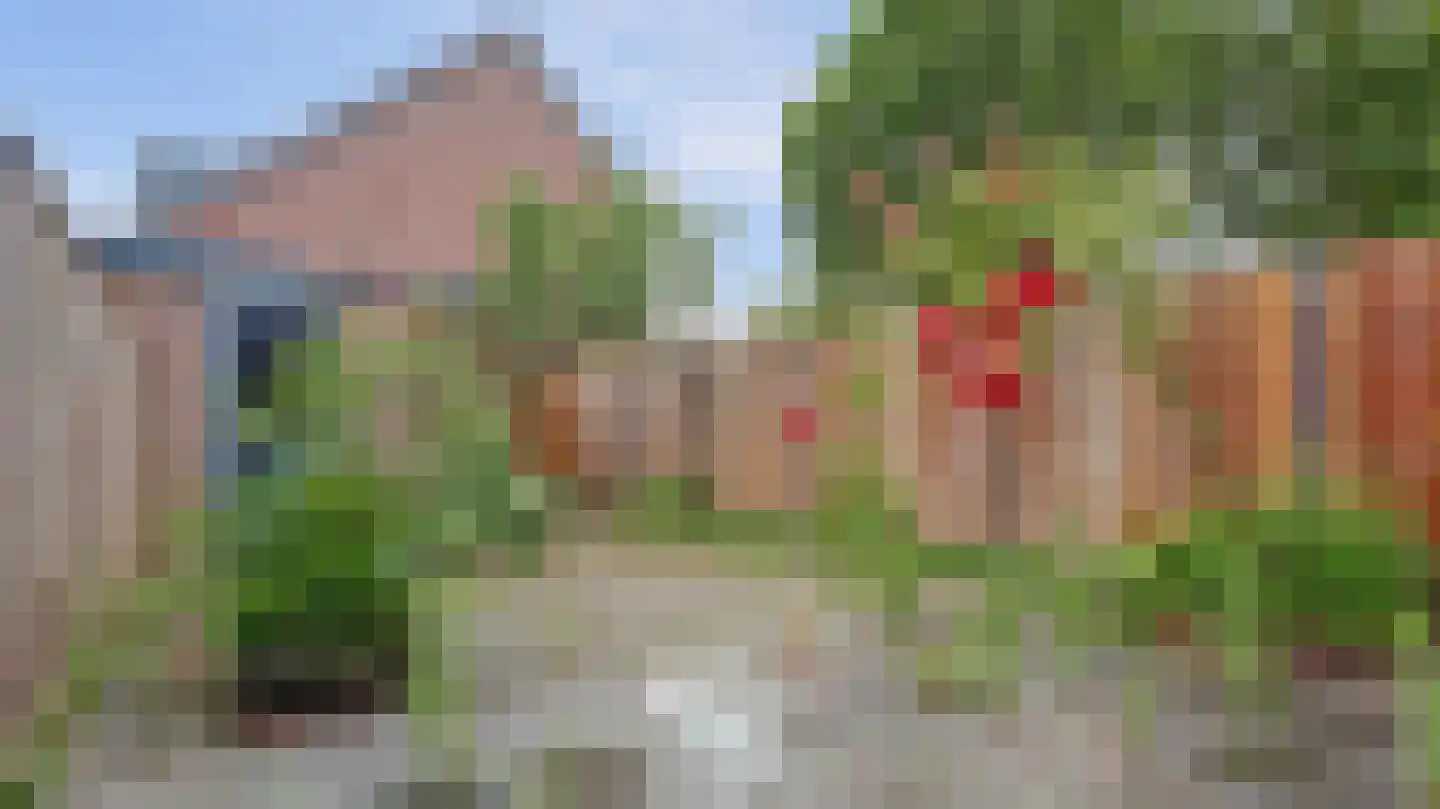 Sesastraat 5 Almelo thumbnail 20