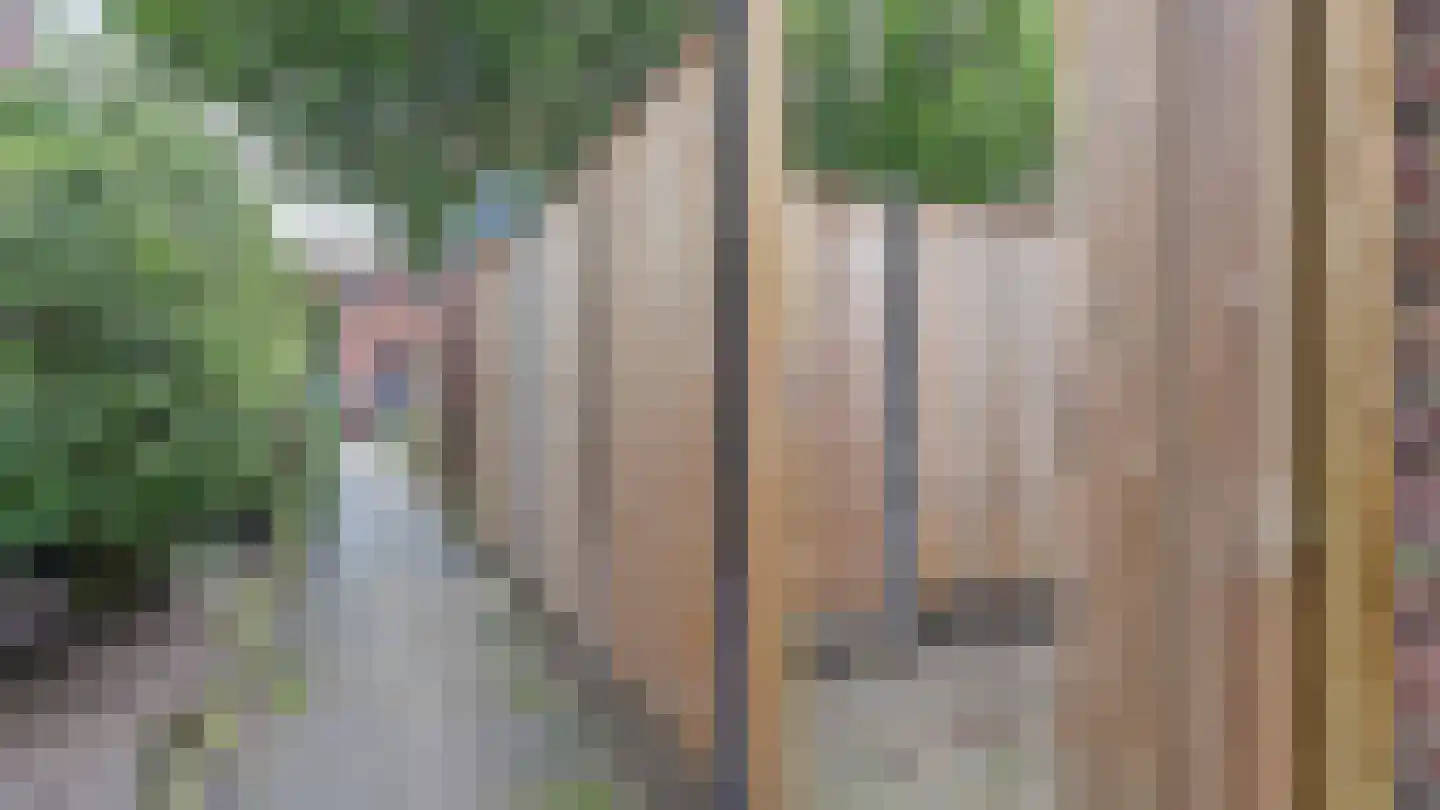 Sesastraat 5 Almelo thumbnail 22
