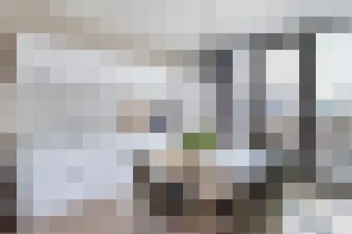 Sestertiushof 1 Utrecht thumbnail 18
