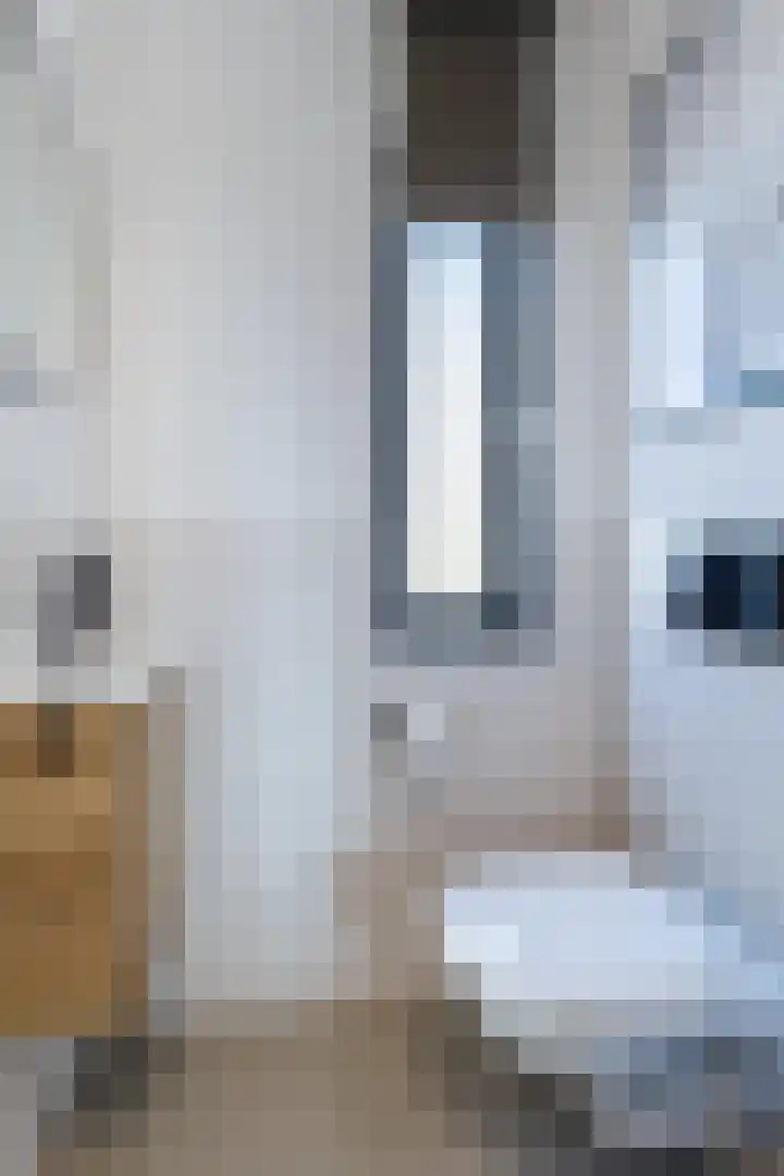 Sestertiushof 1 Utrecht thumbnail 22