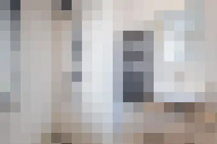 Sestertiushof 1 Utrecht thumbnail 34