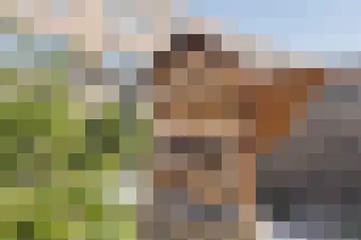 Sestertiushof 1 Utrecht thumbnail 41