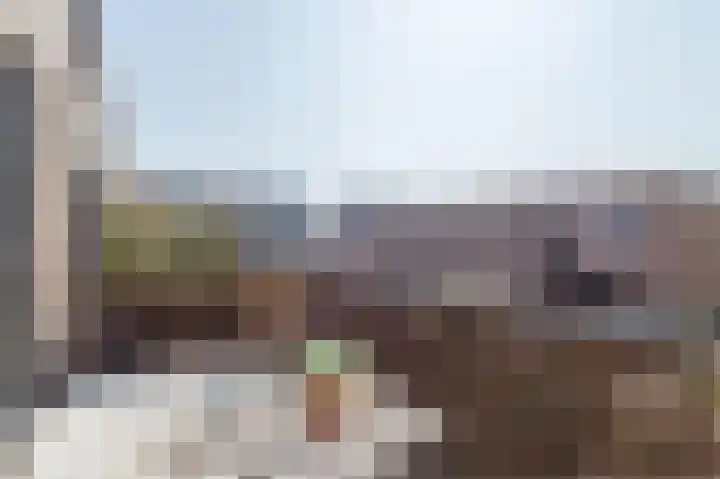 Sestertiushof 1 Utrecht thumbnail 6