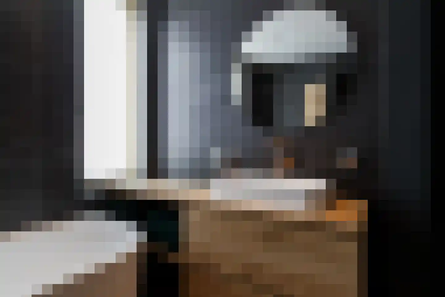 Sestertiushof 18 Utrecht thumbnail 27