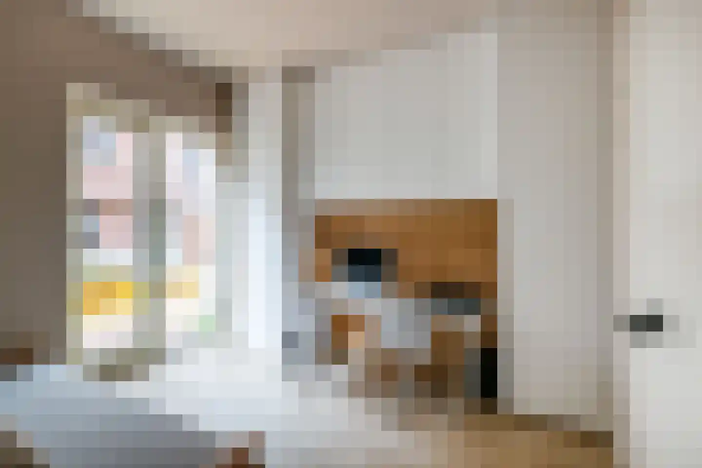 Sestertiushof 18 Utrecht thumbnail 31