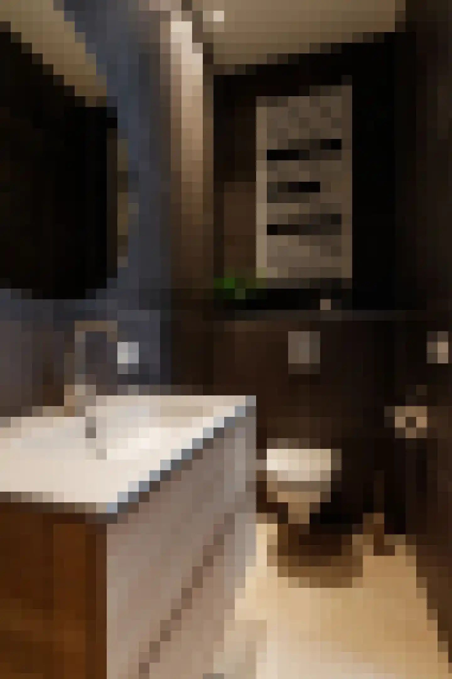 Sestertiushof 18 Utrecht thumbnail 34