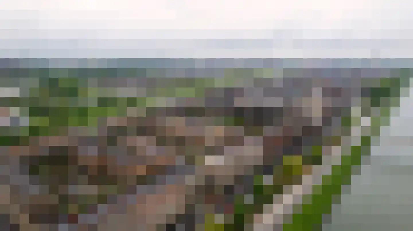 Sestertiushof 18 Utrecht thumbnail 44