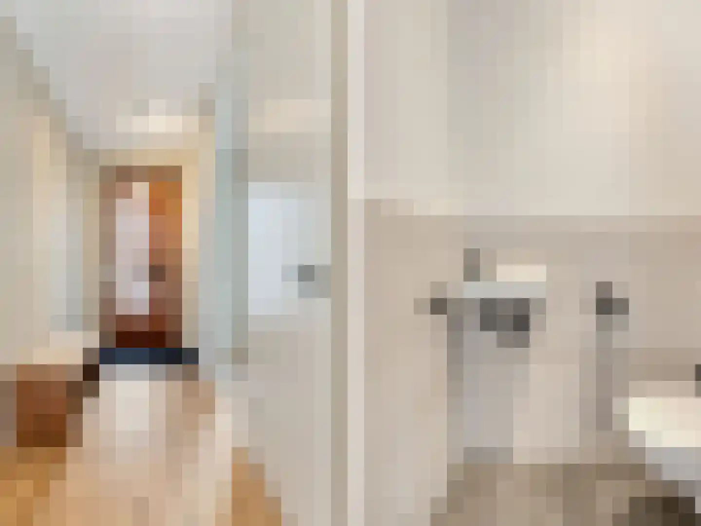 Sestertiushof 3 Utrecht thumbnail 13