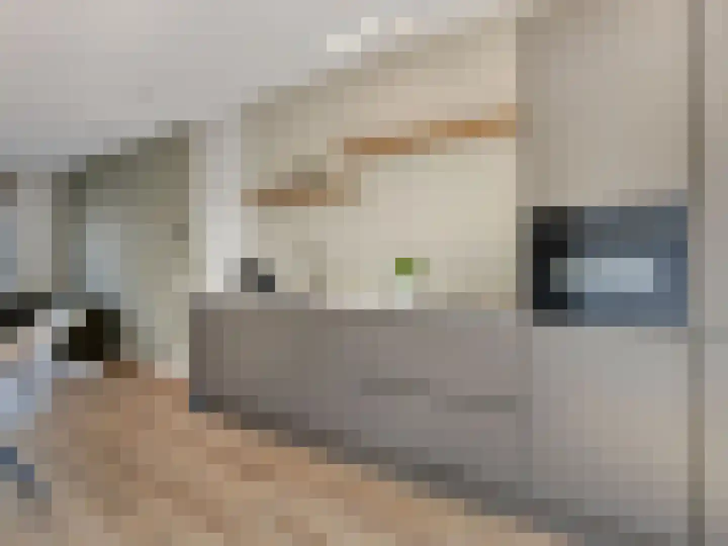 Sestertiushof 3 Utrecht thumbnail 18