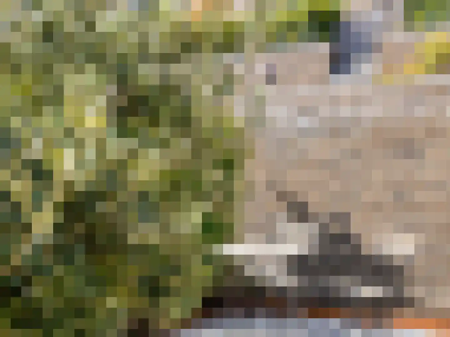 Sestertiushof 3 Utrecht thumbnail 26