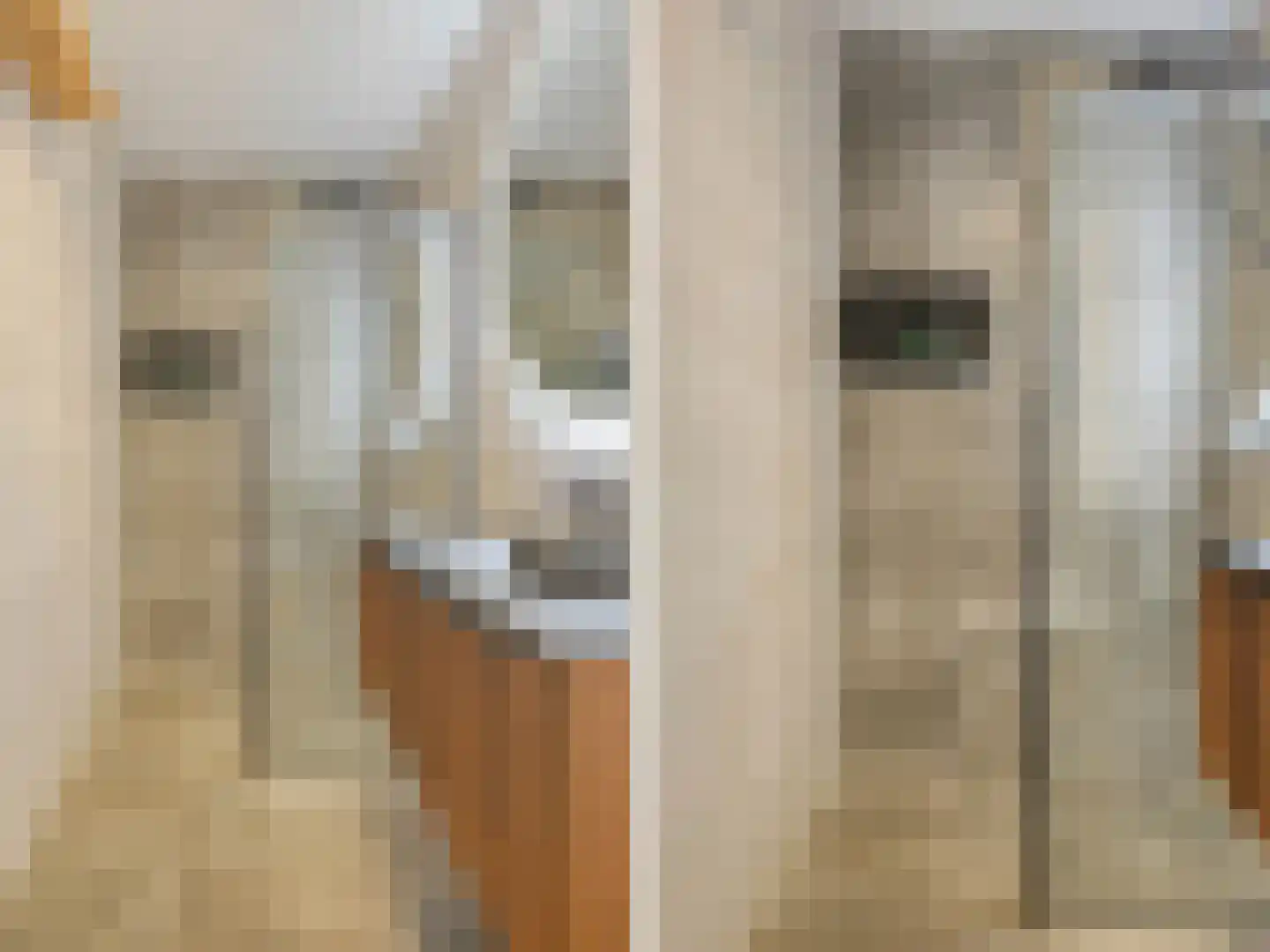 Sestertiushof 3 Utrecht thumbnail 31