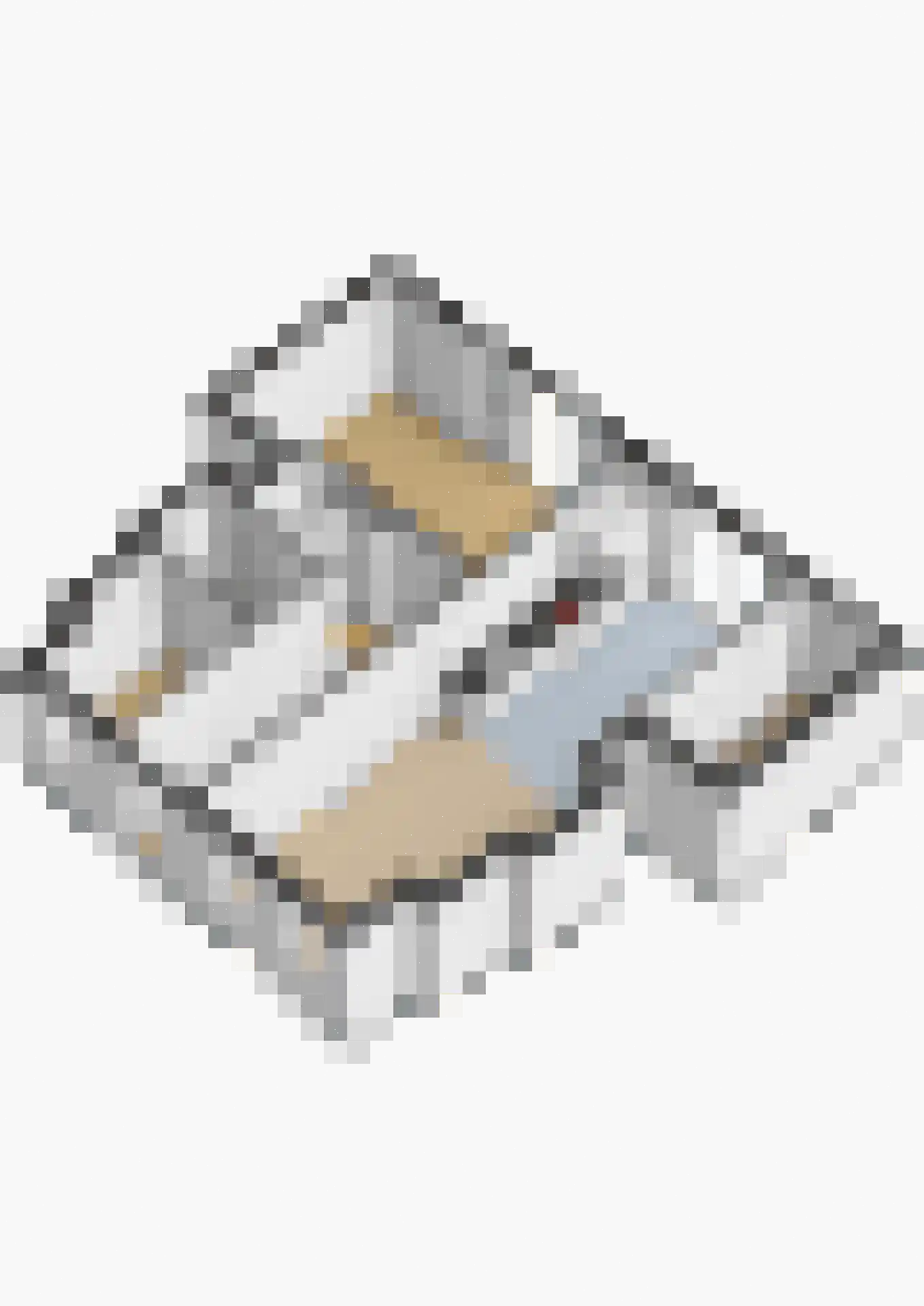Sestertiushof 3 Utrecht thumbnail 45