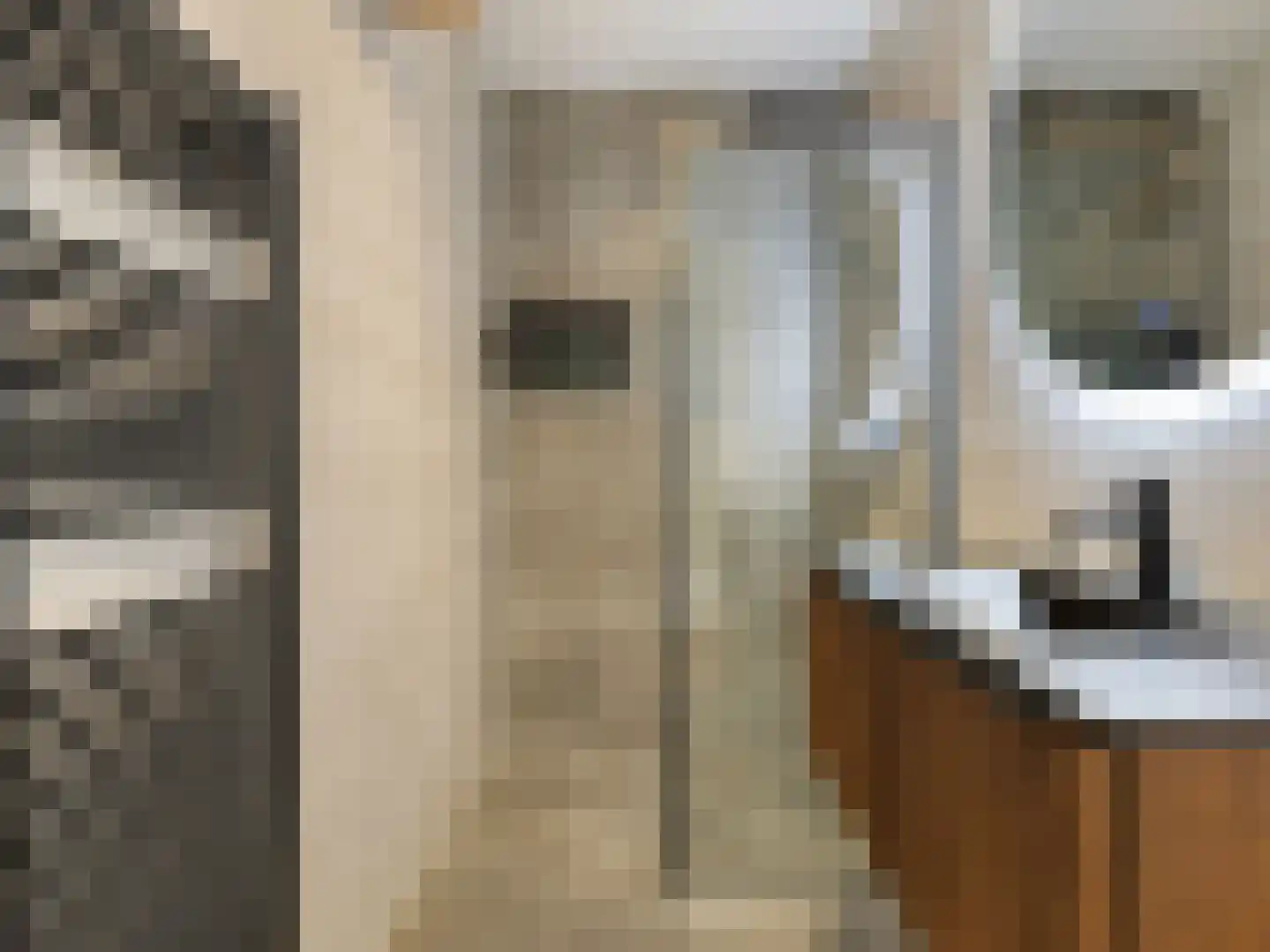 Sestertiushof 3 Utrecht thumbnail 6