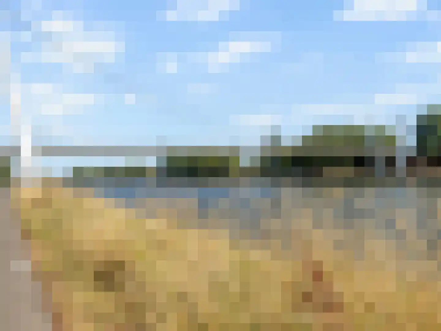 Sestertiushof 3 Utrecht thumbnail 8