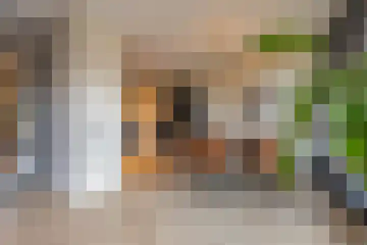 Sestertiusstraat 14 Tiel thumbnail 18