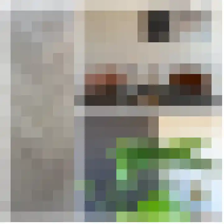 Sestertiusstraat 14 Tiel thumbnail 21