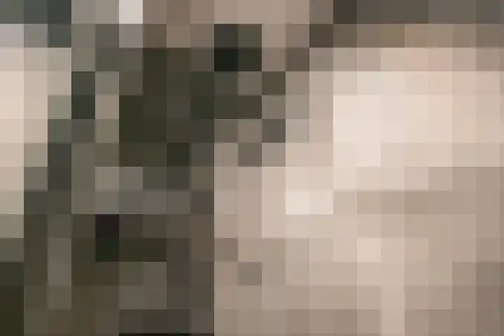 Sestertiusstraat 14 Tiel thumbnail 37