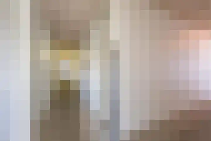 Sestertiusstraat 14 Tiel thumbnail 43