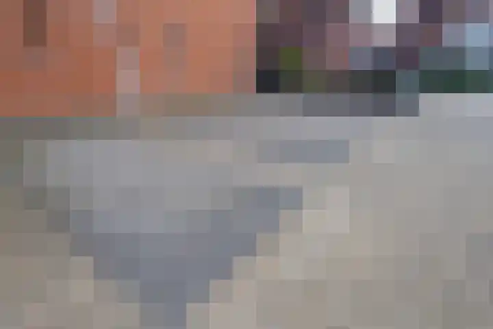 Sestertiusstraat 14 Tiel thumbnail 46