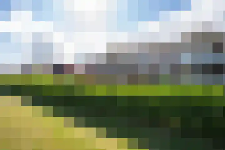 Sestertiusstraat 14 Tiel thumbnail 6