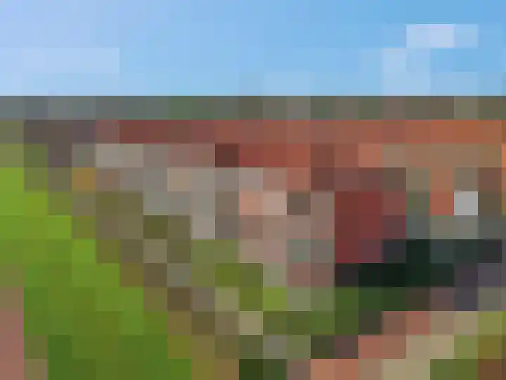 Sestertiusstraat 30 in Tiel