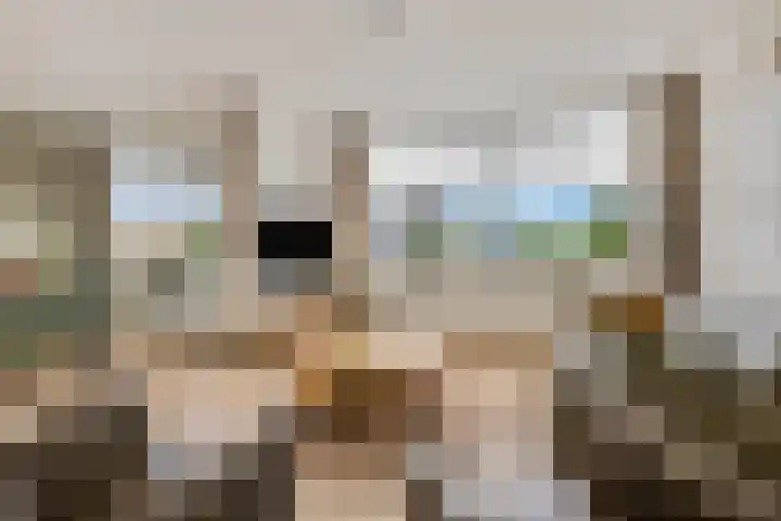 Sestertiusstraat 30 Tiel thumbnail 7