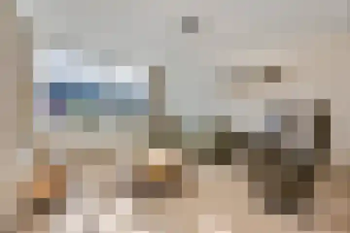 Sestertiusstraat 30 Tiel thumbnail 8