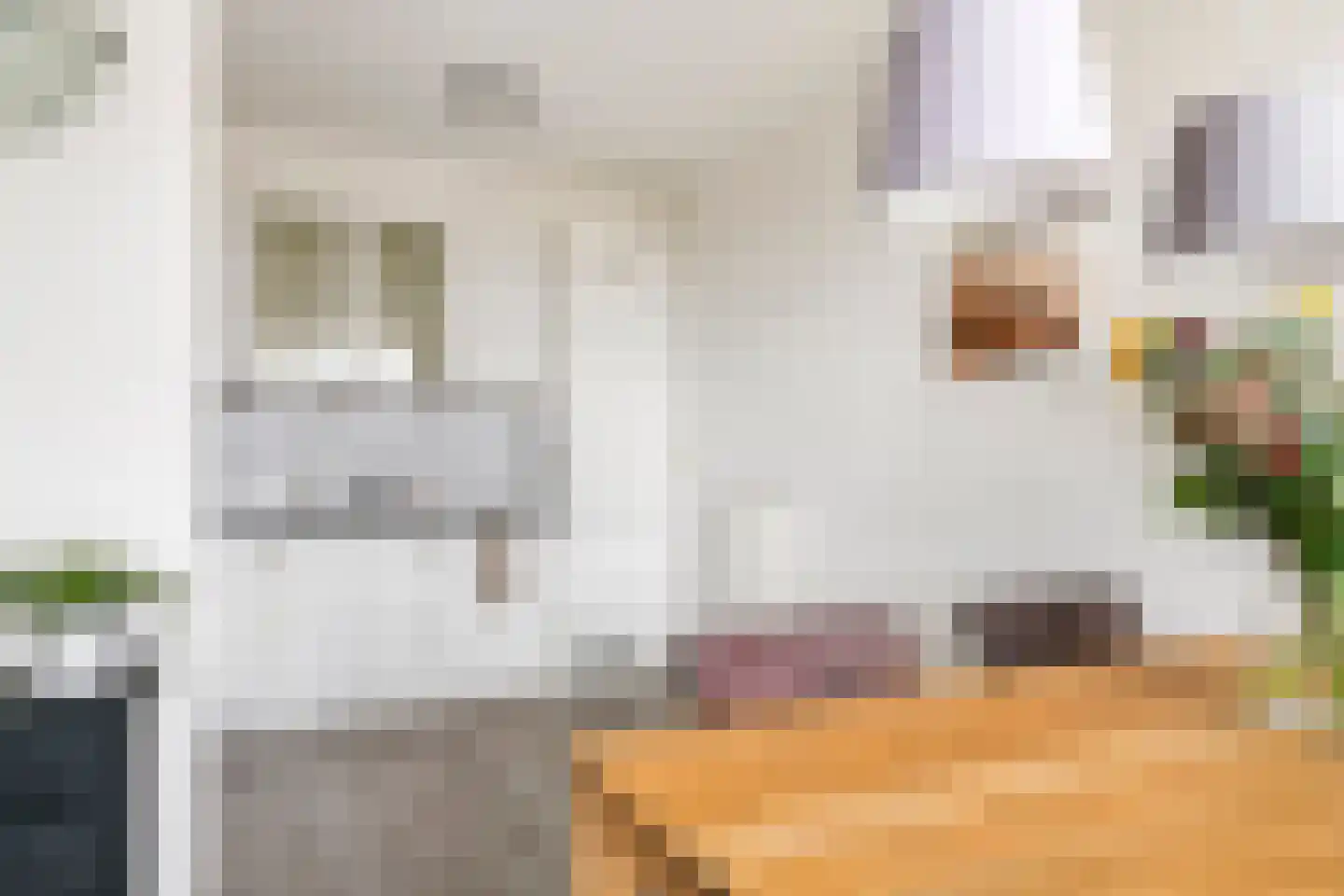 Sestertiusstraat 32 Tiel thumbnail 17