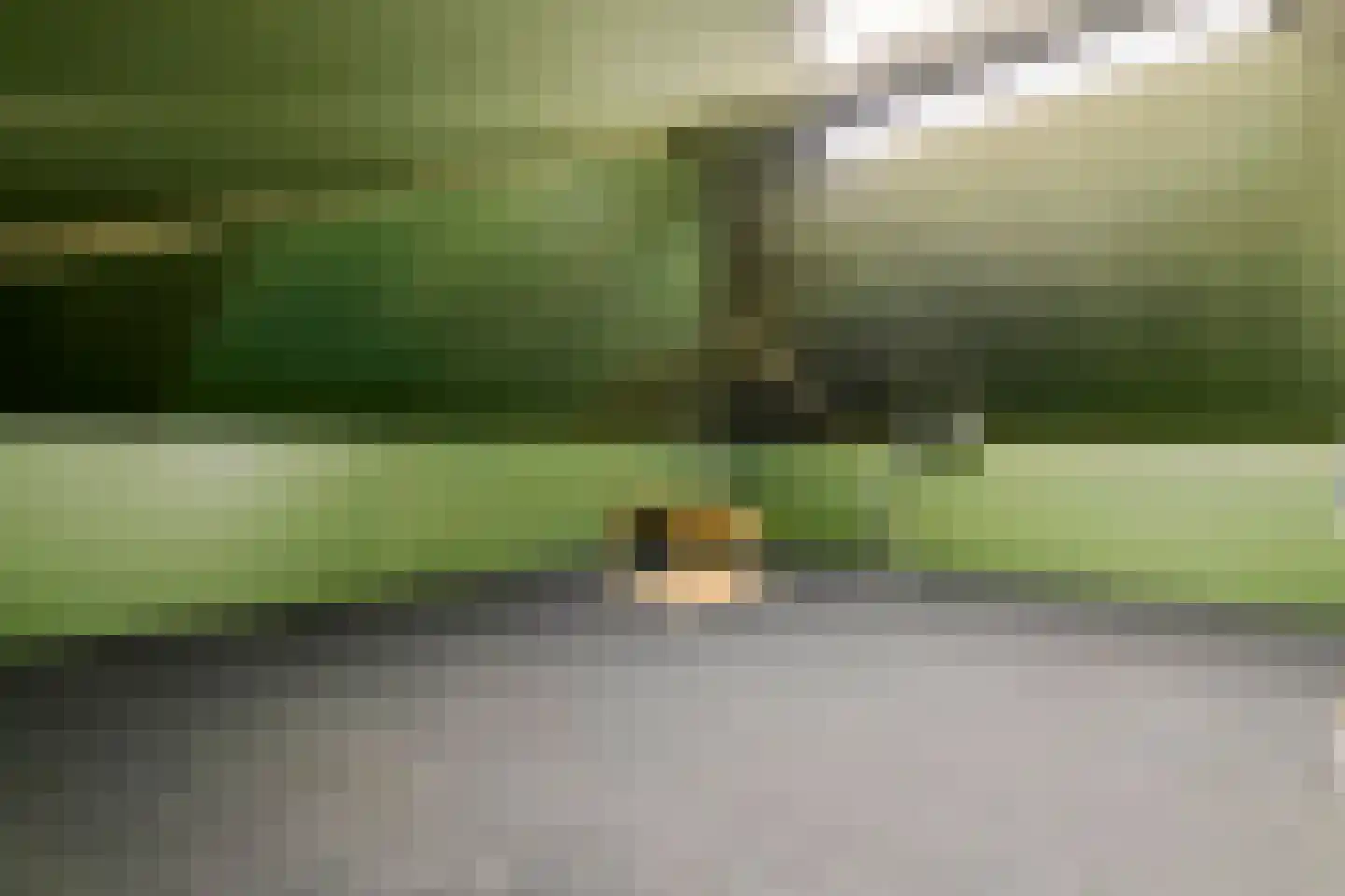 Sestertiusstraat 32 Tiel thumbnail 37