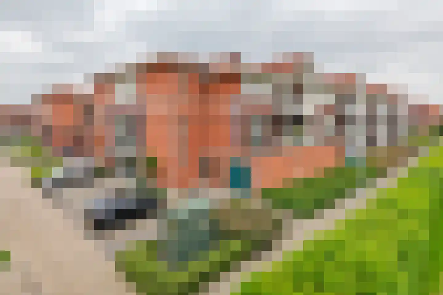 Sestertiusstraat 32 Tiel thumbnail 42