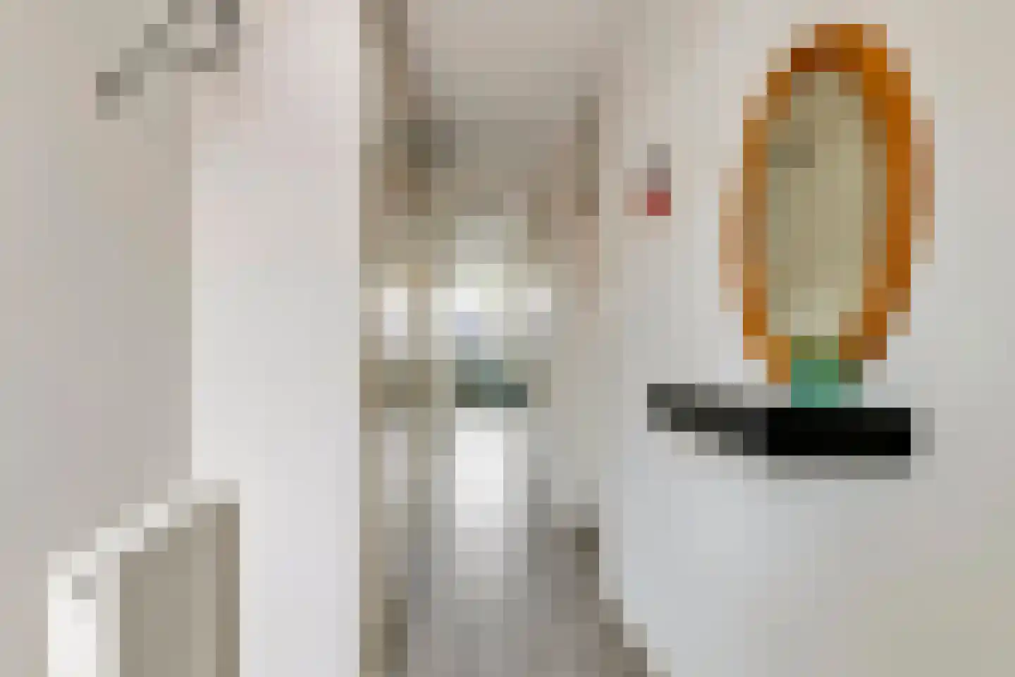 Sestertiusstraat 32 Tiel thumbnail 6