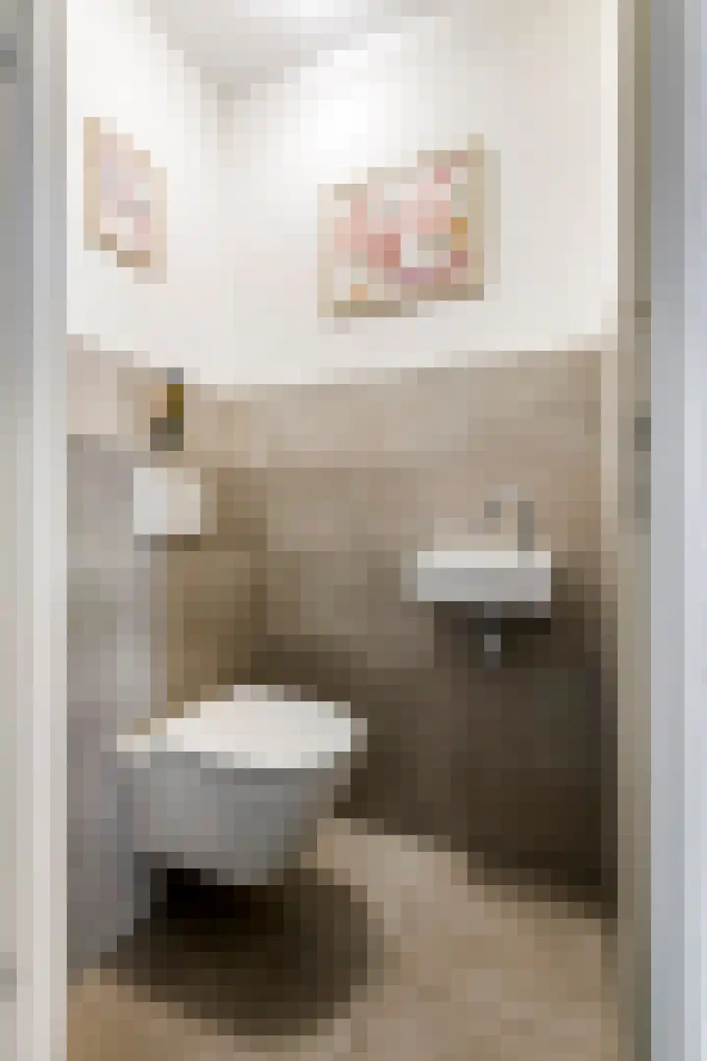Sestertiusstraat 32 Tiel thumbnail 7