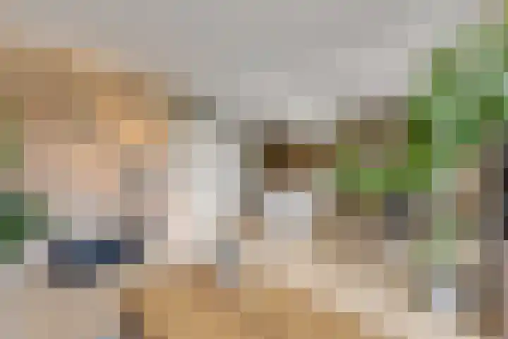 Sestertiusstraat 50 Tiel thumbnail 10