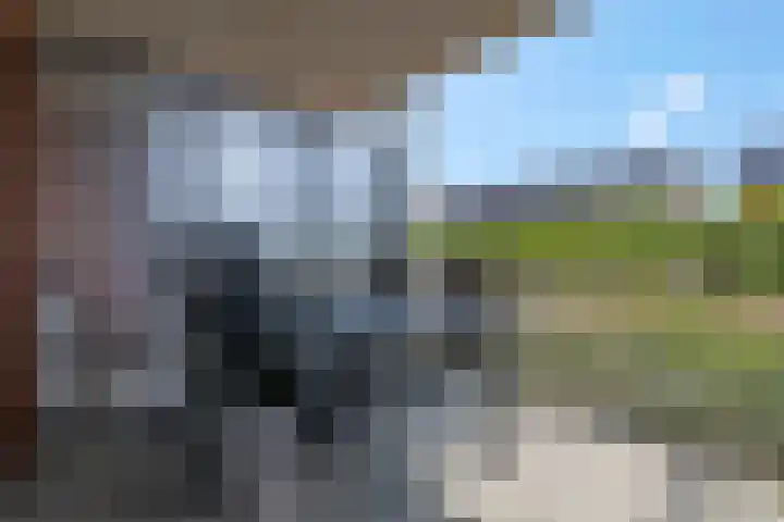 Sestertiusstraat 50 Tiel thumbnail 5