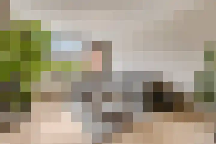 Sestertiusstraat 50 Tiel thumbnail 7