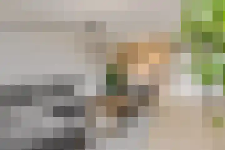 Sestertiusstraat 50 Tiel thumbnail 8
